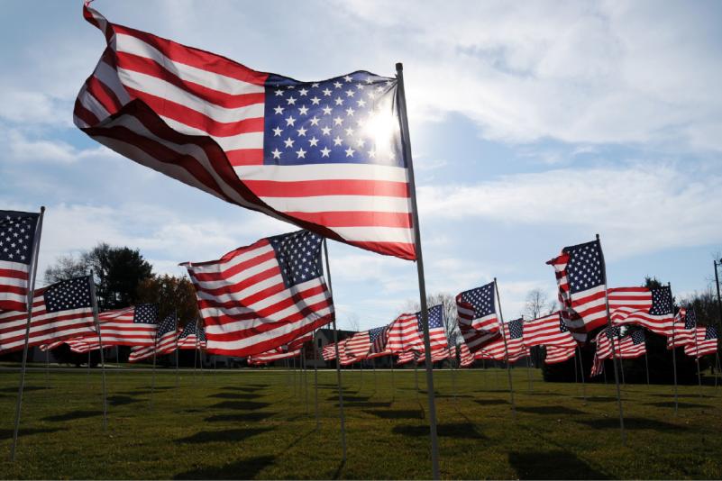 american_flags_on_veterans_day_ap_photo-don_campbell-the_herald_palladium_0
